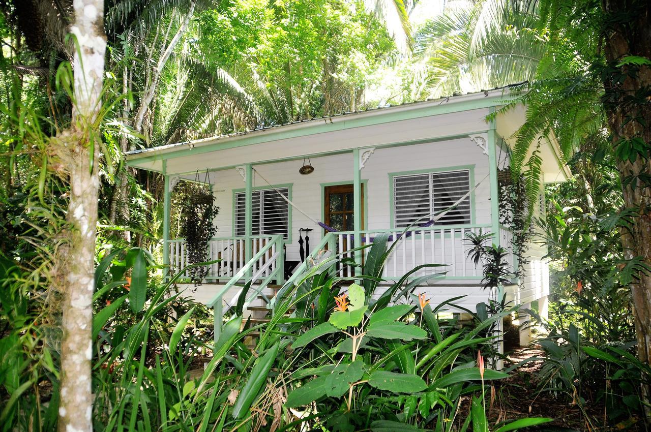 Hickatee Cottages, Belize, Central America Punta Gorda Esterno foto