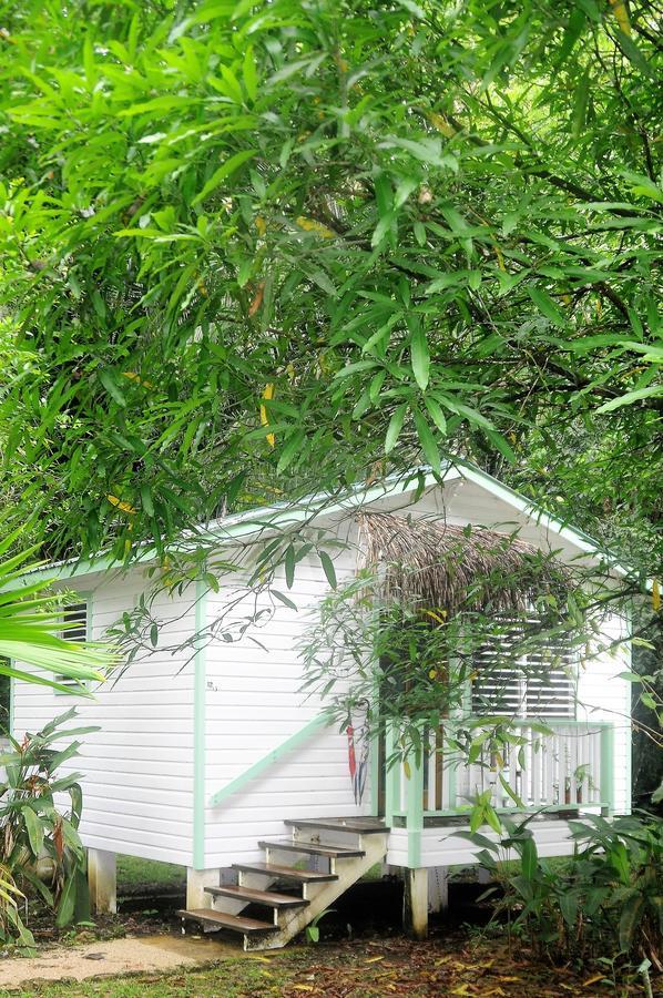 Hickatee Cottages, Belize, Central America Punta Gorda Esterno foto